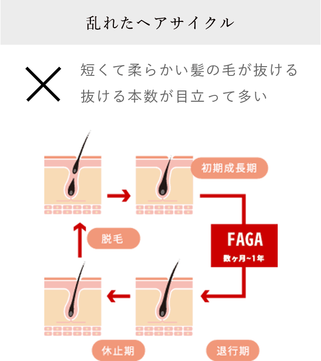 FAGAのヘアサイクル
