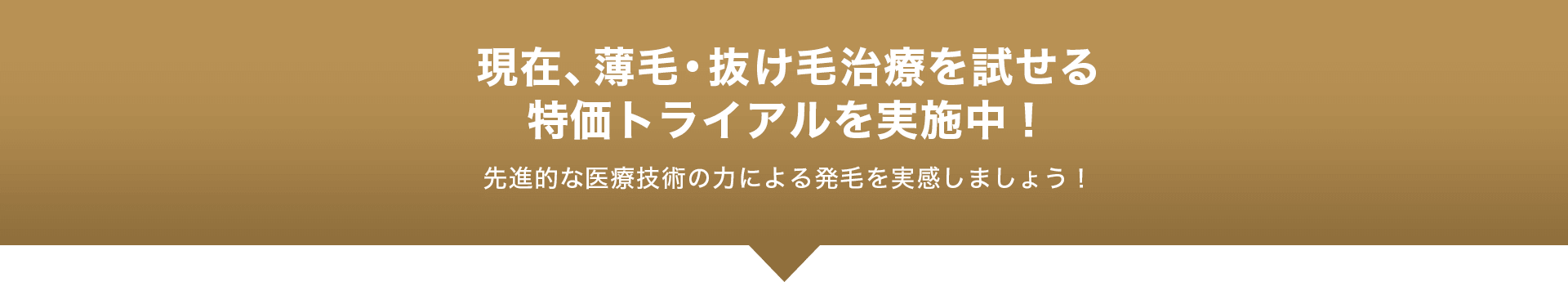 特価トライアル実施中