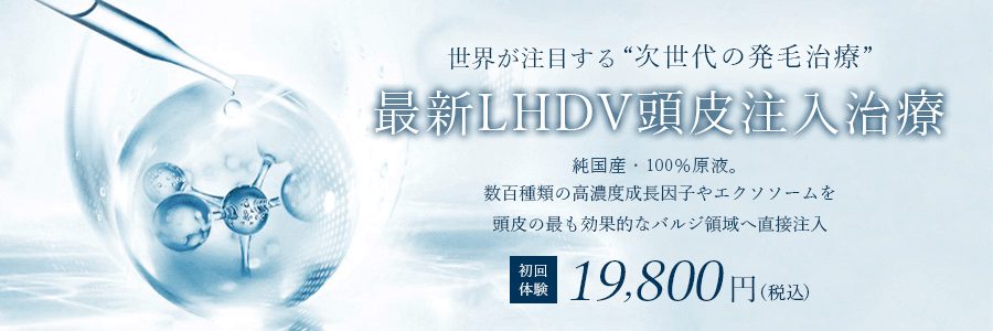 バナー4