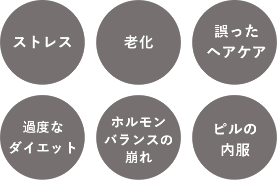 ストレス、老化、誤ったヘアケア、過度なダイエット、ホルモンバランスの崩れ、ピルの内服。