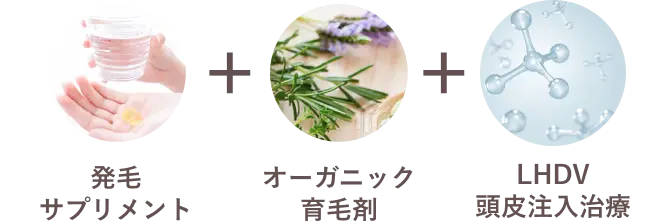 発毛サプリメント＋オーガニック育毛剤＋LHDV頭皮注入治療