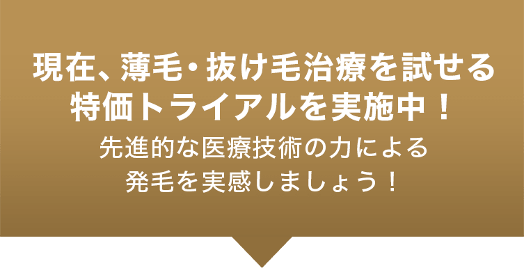 特価トライアル実施中