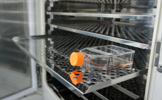 幹細胞培養上清液