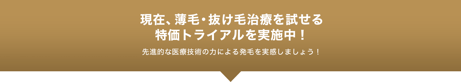 特価トライアル実施中