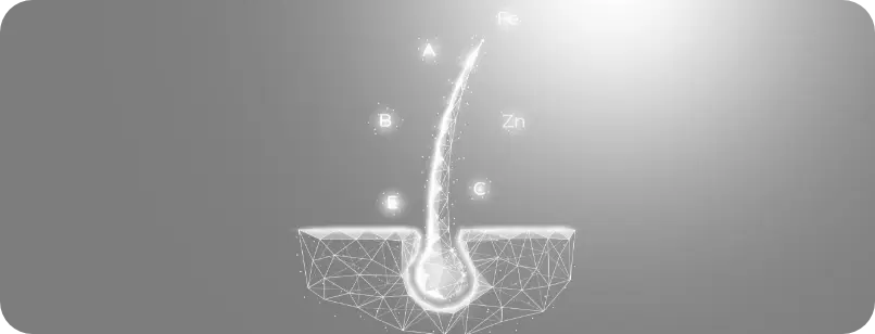 デジタルな毛根のイラスト