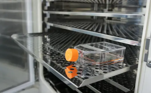 幹細胞培養上清液の工場