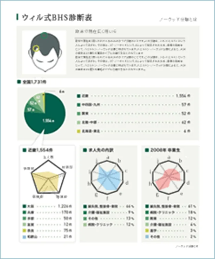 ウィル式BHSヘア診断のイメージ図