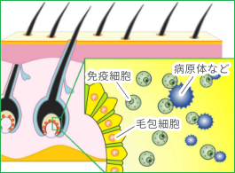 オルミエント治療薬を飲む男性