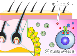 オルミエント治療薬を飲む男性